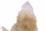Sparkling Cactus Amethyst Crystal Cluster - South Africa #354676-1